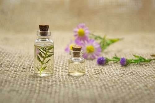 6 Aromatic Flowers perfect for the Scent Industry