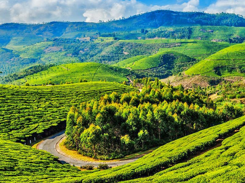 Ooty - Land of Tradition and Adventure