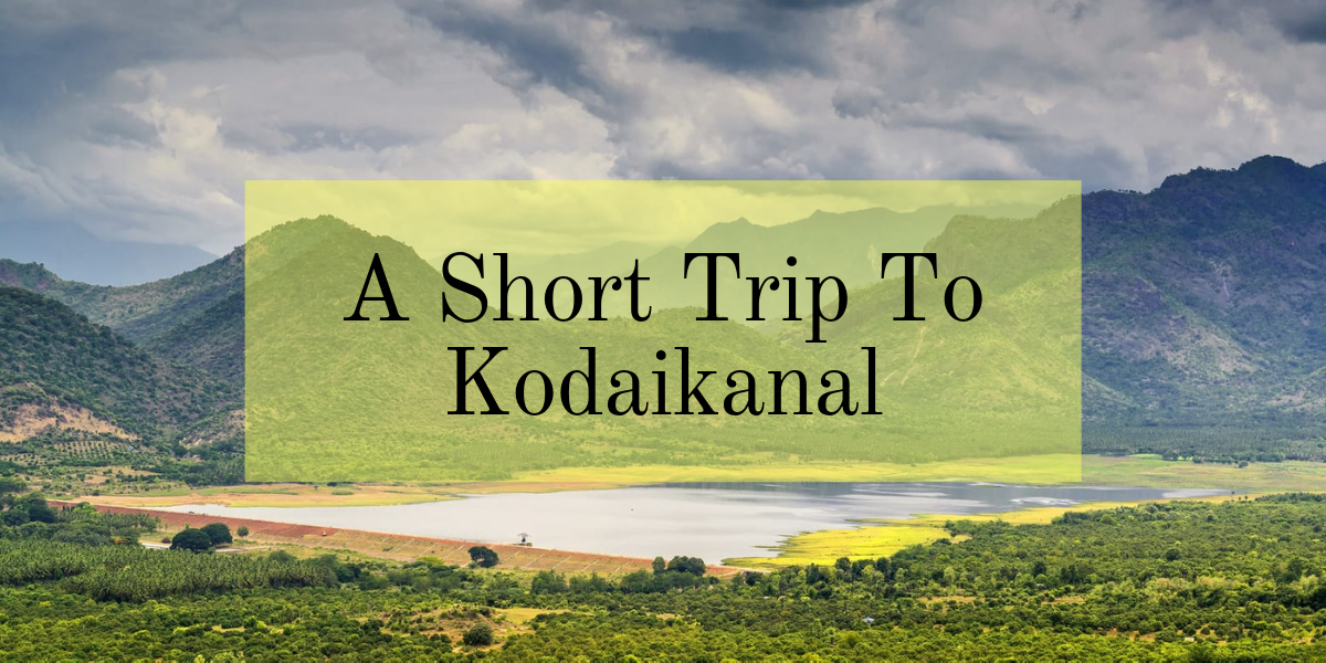 Kodaikanal, India - A Destination Where You Can Go to See Wildlife