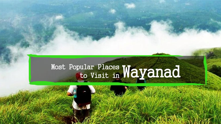 Ways to Enjoy Your Holiday in Wayanad