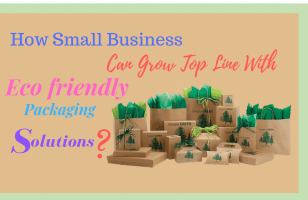 How Small Business Can Grow Top Line With Eco-friendly Packaging Solutions?